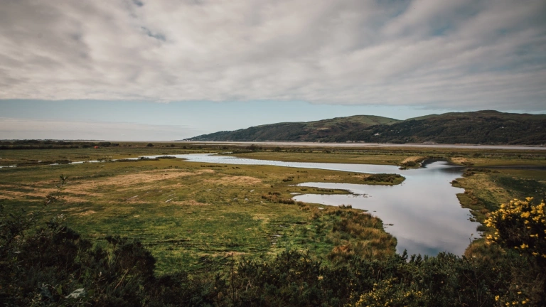 Aber afon Dyfi gyda gwair ar bob ochr a bryniau yn y cefndir, o dan gymylau tywyll.