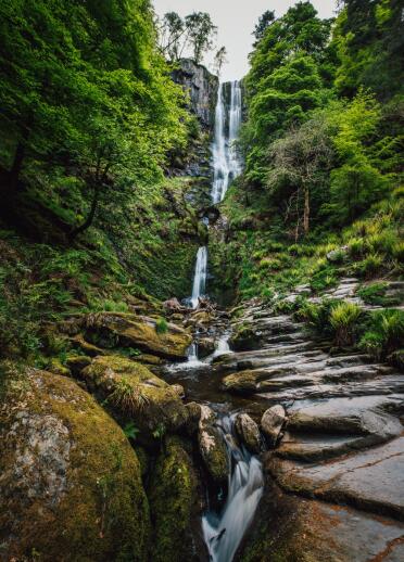 Rhaeadr a gwyrddni o'i chwmpas.