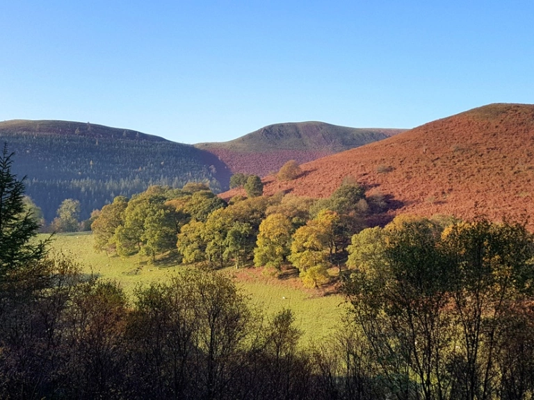 Tirwedd mynydd o dri mynydd yn erbyn awyr las a choed a chae yn y blaendir yn dechrau dangos lliw hydrefol