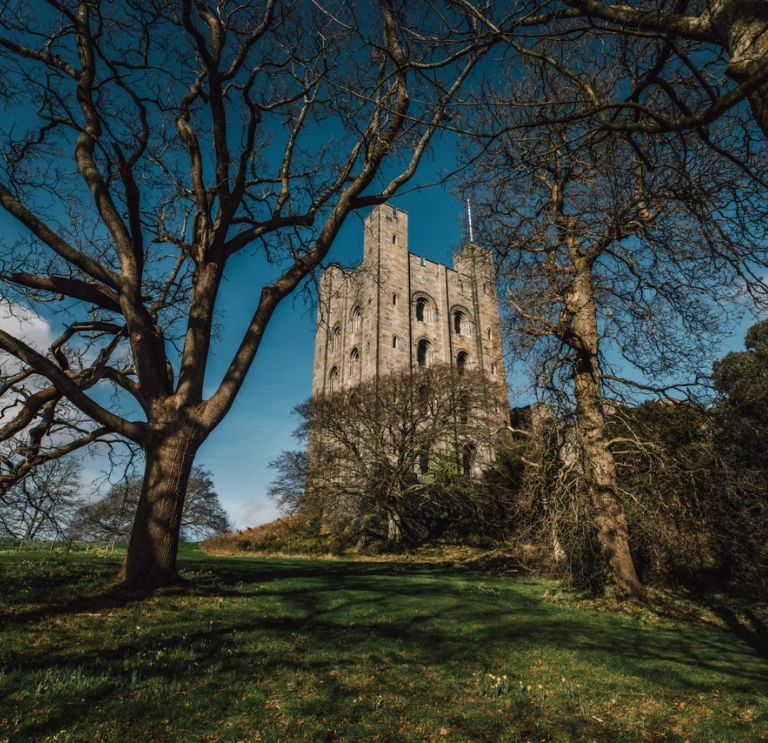 Tŵr castell wedi ei amgylchynu gan goed yn y gaeaf.