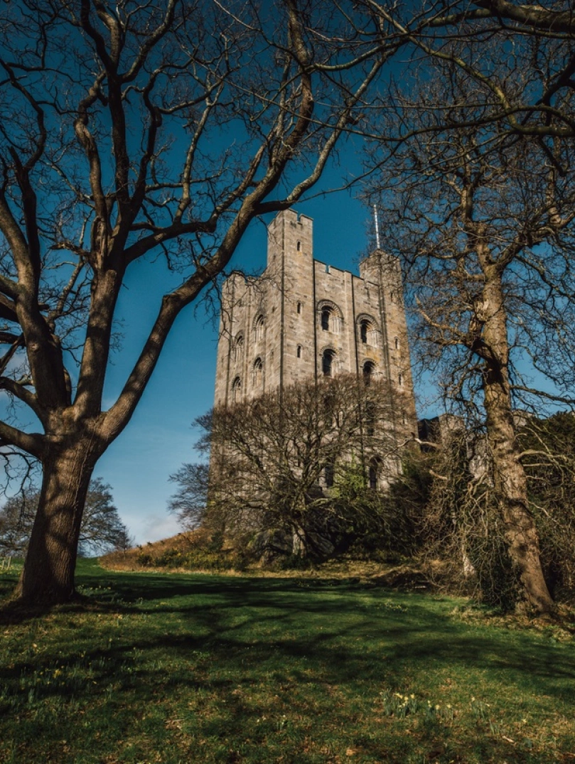 Tŵr castell wedi ei amgylchynu gan goed yn y gaeaf.