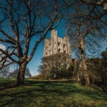 Tŵr castell wedi ei amgylchynu gan goed yn y gaeaf.